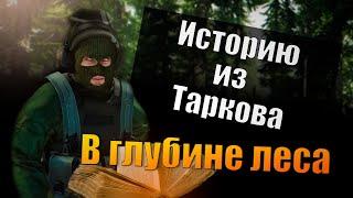 EFT | ИСТОРИИ ИЗ ТАРКОВА - В ГЛУБИНЕ ЛЕСА