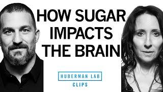 How Sugar & Soda Impact the Brain | Dr. Elissa Epel & Dr. Andrew Huberman