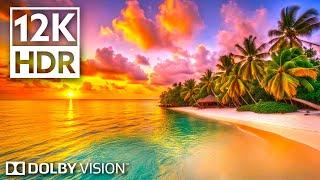 Real Paradise 12K Dolby Vision HDR (120fps)
