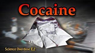 The Truths About Cocaine!