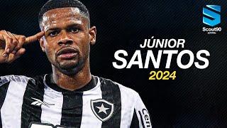 Júnior Santos 2024 ► Botafogo - Magic Skills, Assists & Goals | HD