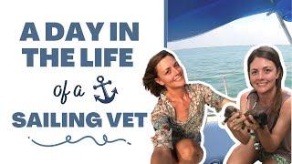 A Day In The Life Of A Sailing Veterinarian! | The Webinar Vet