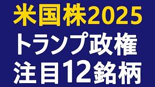 【米国株】2025年はこれが熱い！トランプ政権で注目の12銘柄を厳選公開！