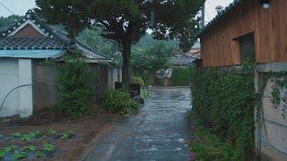 조용한 시골마을길, 차분한 비를 맞으며 걸어봅니다. A quiet rural village road, walking in the calm rain.