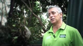 Cudo Testimonials
