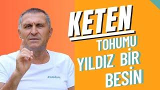 KETEN TOHUMU FAYDALARI KETEN TOHUMU NASIL KULLANILIR TÜKETİLİR ÖZELLİKLERİ