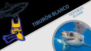 Tiburones Blancos: El bocadillo de Gladis| Ep 72 | CULTURA COLMILLUDA