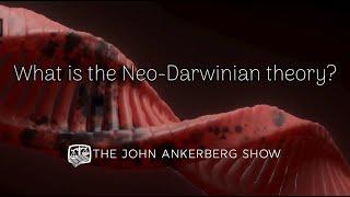 What is the Neo-Darwinian theory?