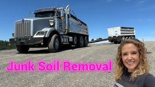 EXCITING JUNK DIRT REMOVAL in this UPSCALE Bellevue Neighborhood!