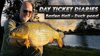 Small Waters & Big Carp. Baden Hall Fishery - Duck Pond - Carp fishing.