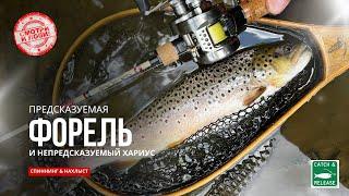 Форель и Хариус на Малой Реке! Ультралайт Спиннинг и Нахлыст в Поисках Активной Рыбы #форель