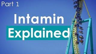 Intamin: Explained - Part 1