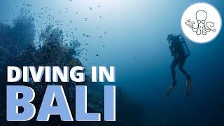 5 Awesome SCUBA Diving Sites in Bali