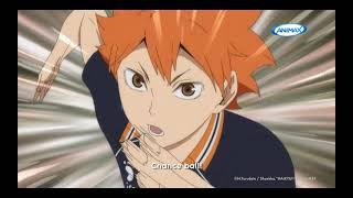 ANIMAX HAIKYU! WEEKEND MARATHON