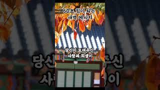 60초 힘이 되는 새벽 메시지 부처님말씀|불교명상|불교명언|부처님가르침|부처님지혜|마음위로|마음치유|영적성장|불교오디오북