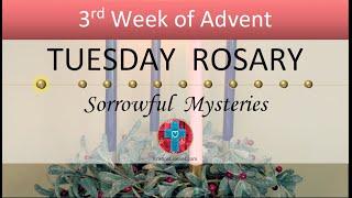 Tuesday Rosary • Sorrowful Mysteries of the Rosary  December 17, 2024 VIRTUAL ROSARY - MEDITATION