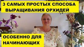 ТРИ САМЫХ ПРОСТЫХ СПОСОБА ВЫРАЩИВАНИЯ ОРХИДЕИ ФАЛЕНОПСИС. ОСОБЕННО ДЛЯ НАЧИНАЮЩИХ