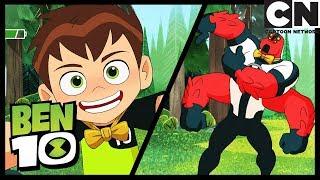 Bentuición | El Show de Ben 10 y Cuatrobrazos | Ben 10 en Español Latino | Cartoon Network