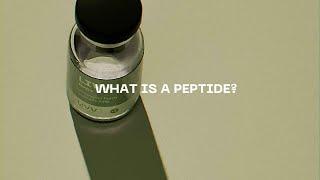 What is a Peptide | LIVV Natural Peptides