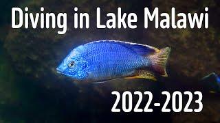 Diving in Lake Malawi 2022 2023