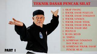 How to learn pencak silat | Basic Silat Techniques PART 1 #pencak #silat