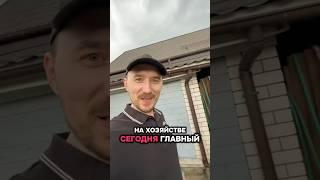 Главный #блог #юмор #блогер #будни #смех #деревня