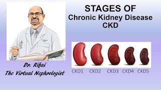 Stages of Chronic Kidney Disease CKD | The Virtual Nephrologist | Dr. Rifai