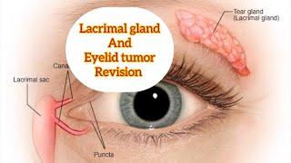 Lacrimal gland revision part 2, and eyelid tumors #eyelectures #opthalmology #jatoi