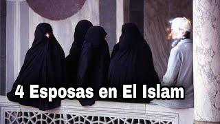 ¿Por qué un hombre musulman puede tener hasta 4 Esposas?  LA POLIGAMIA EN EL ISLAM