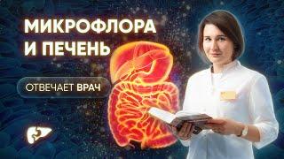 Микрофлора кишечника и печень - в чем связь?