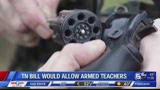 Tennessee bill would allow armed teachers