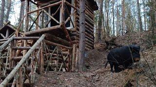 Хутор Яшина| Мебель для второго этажа бани | бушкрафт | bushcraft.