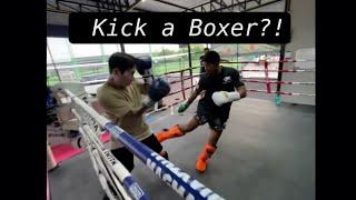 What Happens if you Kick a BOXER?! Boxer Challenges Muay Thai