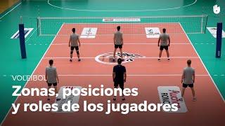 Las zonas, las posiciones y los roles de los jugadores. | Voleibol