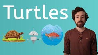 Tell Me About Turtles