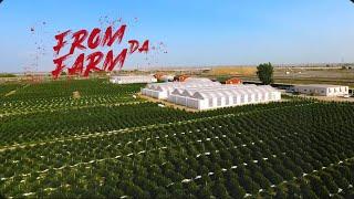 Test “ From Da Farm “ (Official Video)