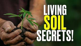Living Soil Secrets with Gaia Green
