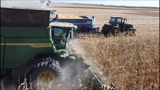 This Is Our Fastest Corn Harvest Ever! Over 400 Acres Per Day!