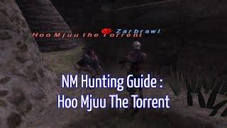 NM Hunting Guide : Hoo Mjuu the Torrent (WingsXI)