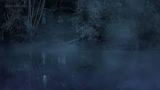  Night Forest Sounds in a Foggy Rainy Swamp / Relaxing Nature Marshland with Rain & Frogs Croaking