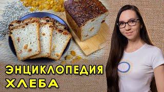 Regina Kutimskaya - encyclopedia on baking homemade yeast-free sourdough bread. How to bake bread