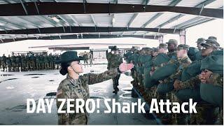 DAY ZERO! “The Shark Attack"