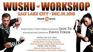 WUSHU WORKSHOP By Jade Xu & David Torok | Salt Lake City 2018 (Changquan)