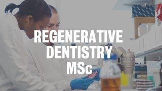 Regenerative Dentistry MSc | King's College London