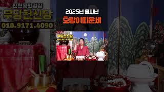 미리보는 2025년 을사년 호랑이띠운세