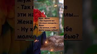 Анекдот дня #настроение #анекдот #прикол #юмор #анекдоты #мем #смех #приколы