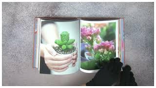 Succulents: Floramour series by teNeues Books