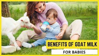 Goats Milk For Babies With Reflux (Benefits of Goat Milk for Babies)