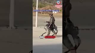 Robot Dog with a Gun?️ China's Latest Military Innovation! #shorts #war #china