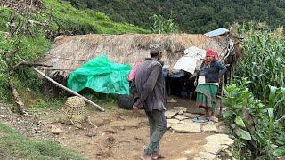 Nepali Mountain village Life in Nepal | very peaceful And Relaxing Rainy Season |Nepali Village Life